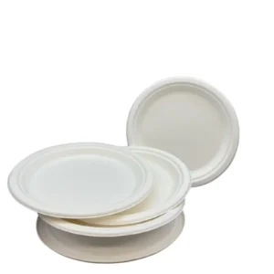 Round Plate Bagasse - Image 1