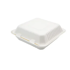 Bagasse Meal Box - Image 1